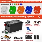 OEM ODM LiFePO4 Lithium Battery Pack Customized Golf Cart Lithium Ion Battery 48V