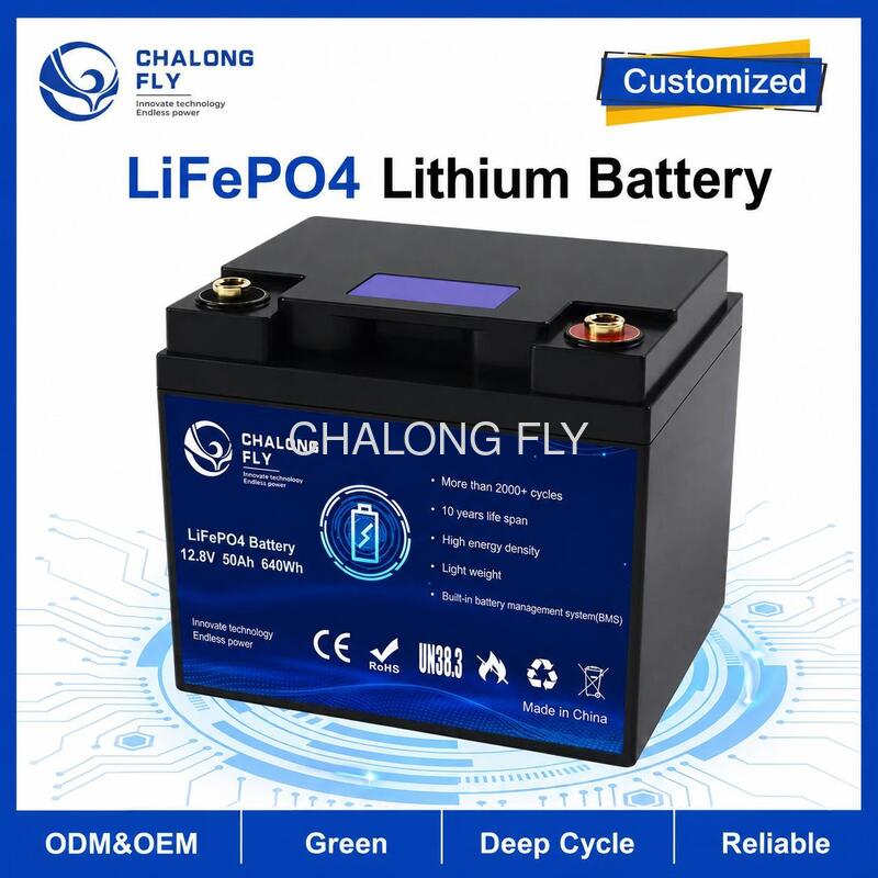Custom 12.8V 50Ah LiFePO4 Battery Pack with Built-in BMS for RV Campervan and Auxiliary Power