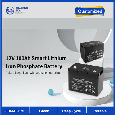 OEM ODM LiFePO4 リチウム電池 12V 100Ah リチウム電池 スマートディープサイクル カスタマイズされた電池 リチウム電池パック