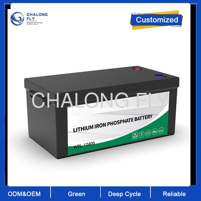 ウェラン 高容量 12V 400Ah LiFePO4 バッテリー ソーラーエネルギー 貯蔵 RV UN38.3 認証の海洋リチウムイオンパック