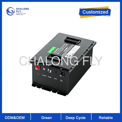 48V 100Ah LiFePO4 ゴルフカート バッテリー 4000+ サイクルと内蔵 200A BMS