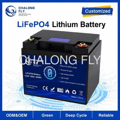 カスタム 12.8V 50Ah LiFePO4 バッテリーパック (BMS内蔵) RVキャンピングカーおよび補助電源用