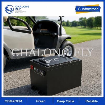 36V&48V 105Ah LiFePO4 ゴルフカート バッテリー スマートBMS 車両用