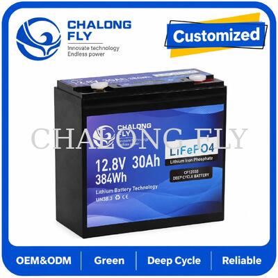 12.8V 30Ah LiFePO4 ディープサイクル バッテリー 384Wh エネルギーと 12V システムのためのスマート BMS